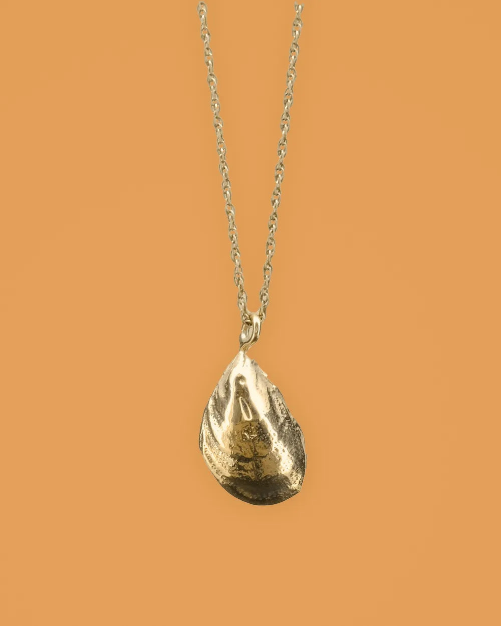 Mussel pendant, a gold mussel shell cast from a real shell, on a fine chain