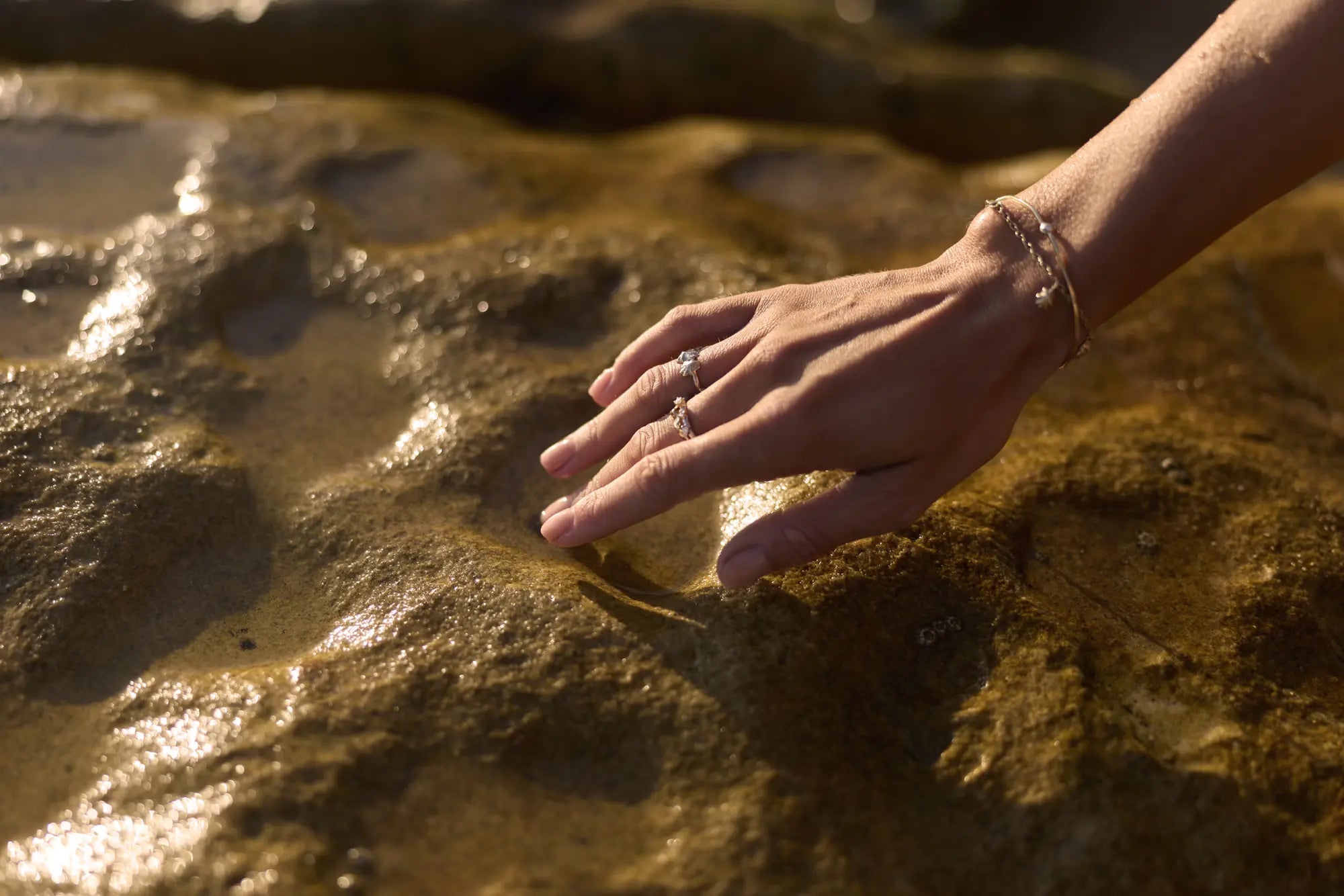 A hand wearing shell rings rests on wet, sunlit rock